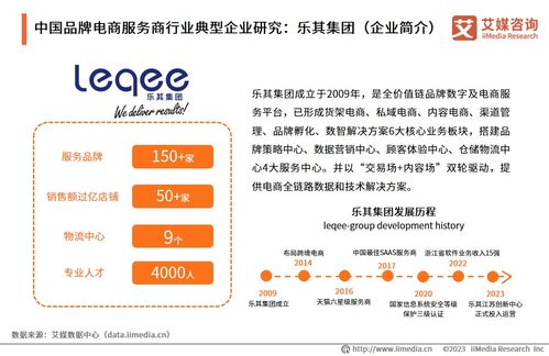 2023年中國品牌電商服務商行業研究報告